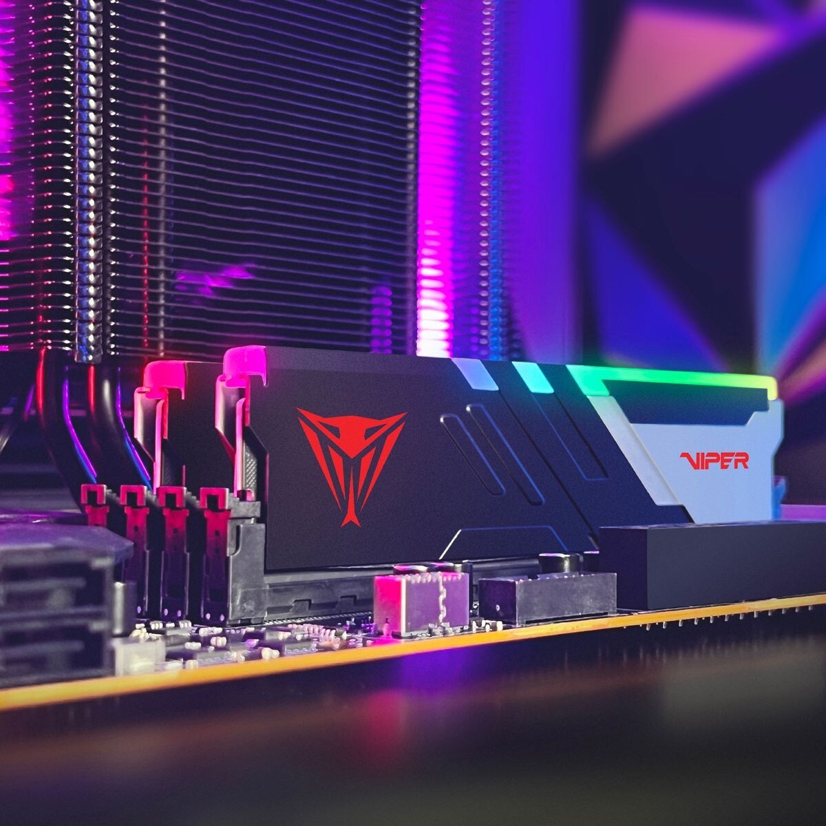 メモリー Patriot Viper Venom RGB DDR5 (2 x 32GB) Viper Venom RGB & Non-RGB DDR5 Performance DRAM | Viper Gaming