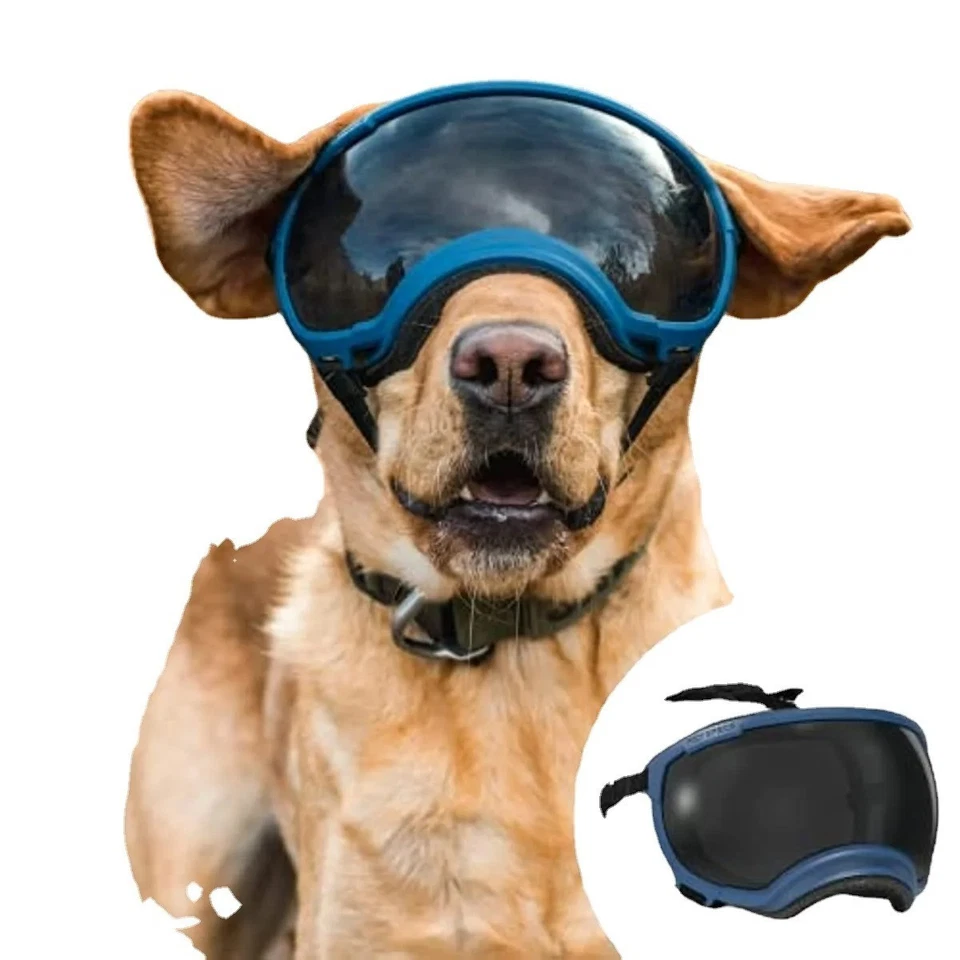 Gafas para perros protección UV correa ajustable antiimpactos transpirables gafas para mascotas Foto 2 de 4