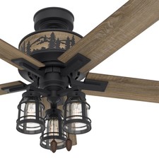 Hunter Fan 52 inch Casual Natural Iron Indoor Ceiling Fan w Light and Pull Chain
