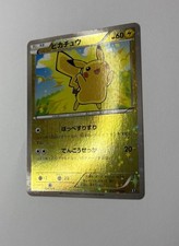 Pokémon TCG Professional Sports Authenticator (PSA) Individual