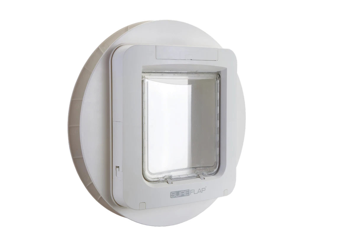 Sureflap pet door large 2025