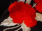 Bild 4 von 12