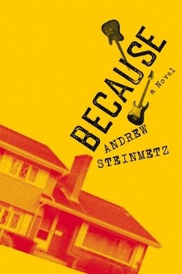 Andrew Steinmetz Because (Taschenbuch)