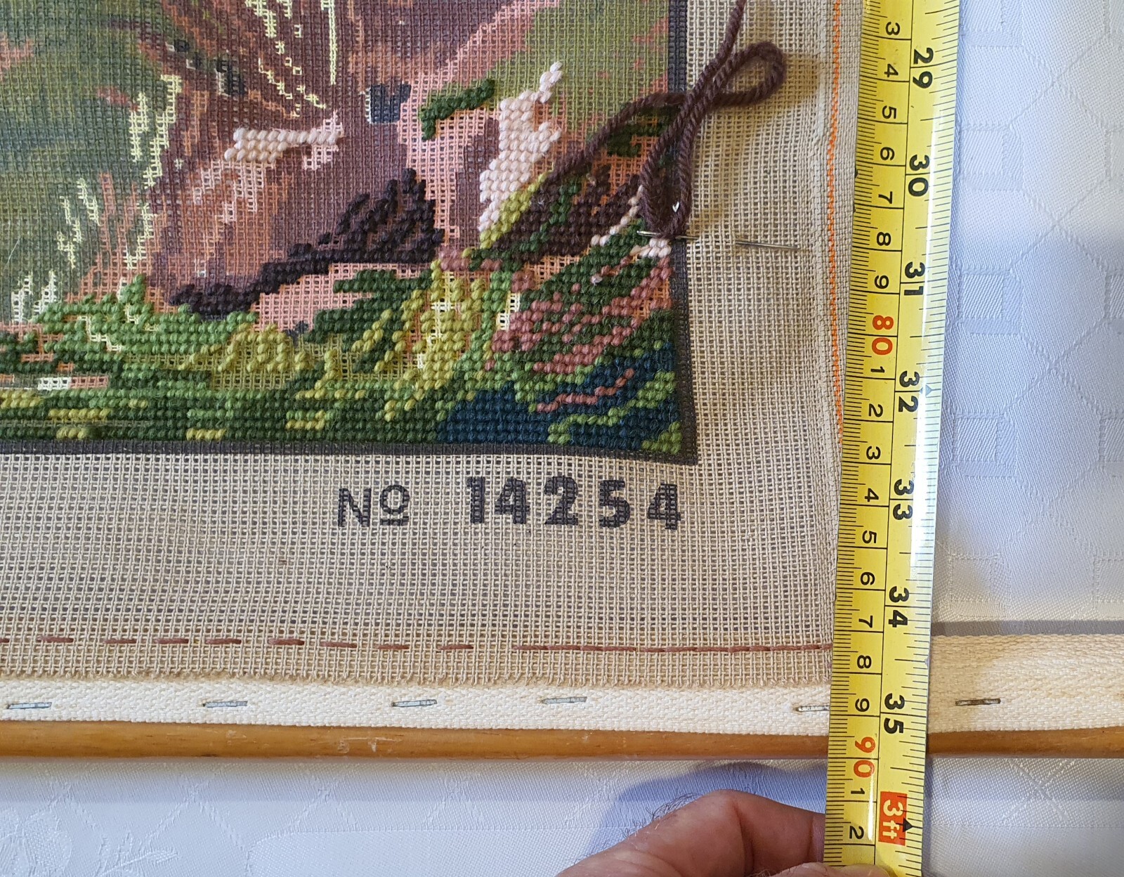 Picture 11 of 11