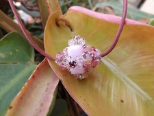 Collana con pendente in cristallo Swarovski e laccetto in cuoio rosa handmade