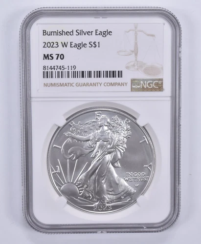 2023-W Burnished Silver Eagle MS70 NGC Brown Label *2146