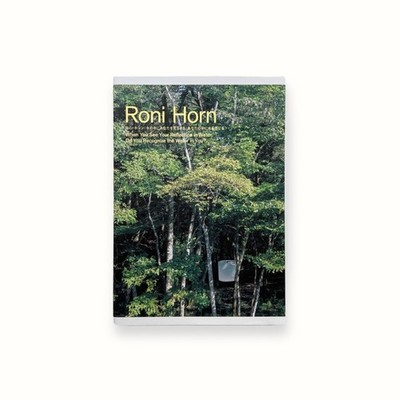 Roni Horn Water Reflection Exhibition Catalog Pola Museum Art Heibonsha 2022