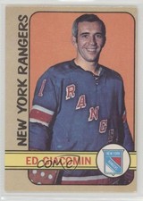1972-73 O-Pee-Chee Ed Giacomin #173 HOF 0i7l