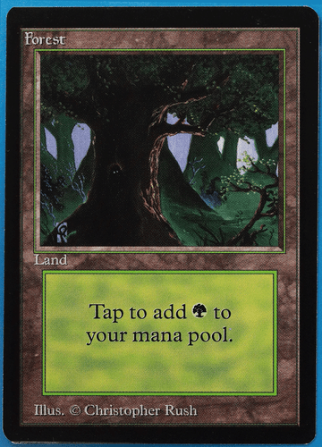 Forest (C Dark Tree) Beta PLD Basic Land MAGIC MTG CARD (ID# 505237) ABUGames - Picture 1 of 2