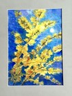 Bild 4 von 6