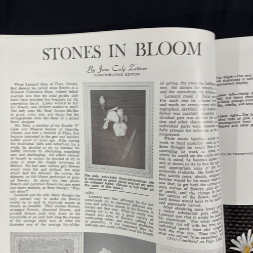 VTG Lapidary Journal Gem Cutting Jewelry Magazine Feb 1972 Rockhound Collectors - Photo 5/11