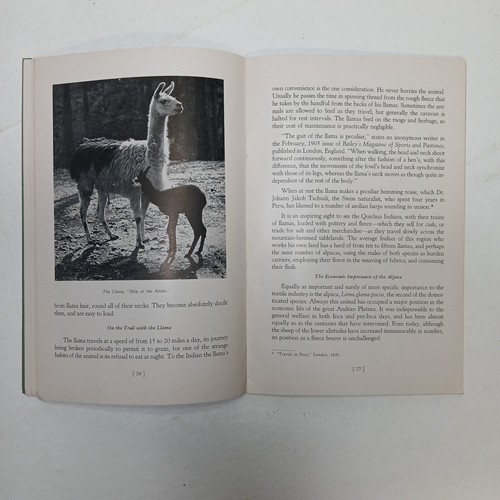 Llamas and Llamaland - Sylvan I. Stroock (1937, Softcover, Illustrated) - Picture 7 of 7
