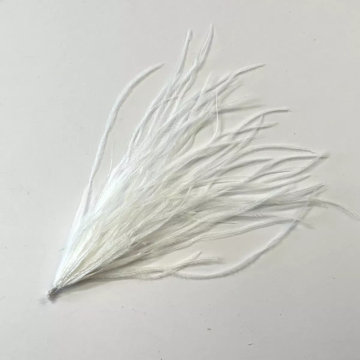 Ostrich 2024 feather suppliers