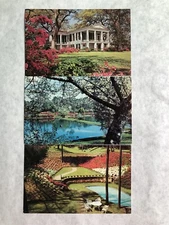 Lot 3 Vintage Postcards Mobile AL Alabama Thigpen Oakleigh Springhill Tuthill