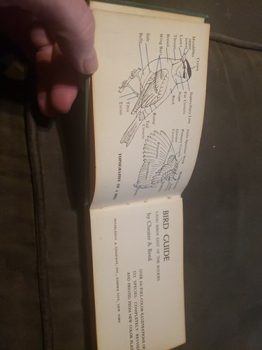 Bird guide book land birds east of the rockies by Chester A. Reed 1951 Revised - Picture 6 of 8