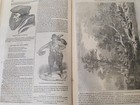 Foto 2 di 9