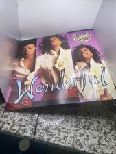 Rick James - Wonderful Vinyl Record (VG++) R&B Promo Maxi