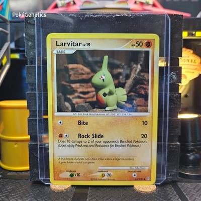 Larvitar Stormfront Pokémon TCG 63/100 Diamond & Pearl Common