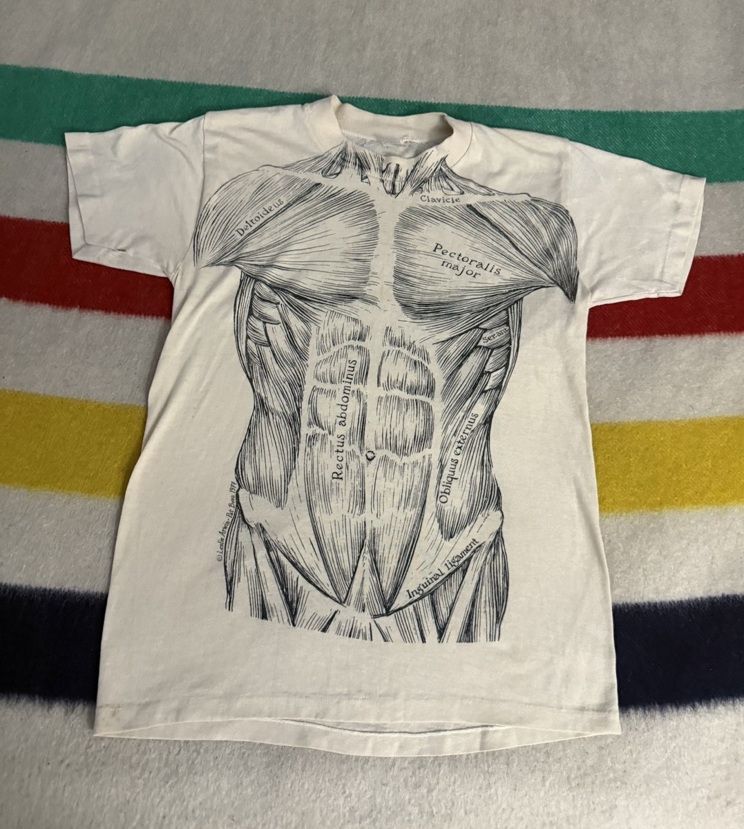 Vintage 70s Leslie Arwin Shirt Pat Bova Anatomical Chart Pectoral Muscle 1977