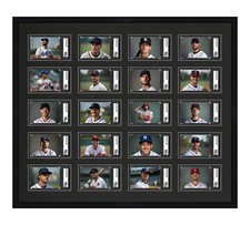 SGC Graded Card Frame Display Holds (20) Slabs Baseball, UV Protection