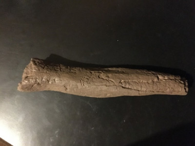 Castelnau Tibia Femur Fragment / 11.5 foot giant human replica. Museum Artifact