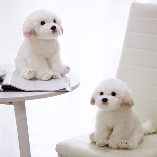 38 cm Adorable Realista Perro Maltés Peluche Juguete Muñeca de Peluche Suave Niños Regalos - Imagen 3 de 10
