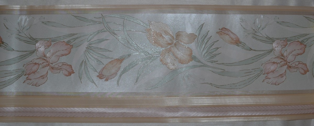 Brewster Wallpaper Border~Pastel Peach Iris Flower~Green~10.25