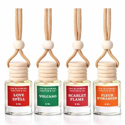 Hanging Car Air Freshener  Rearview Mirror Car Fragrance Bottle