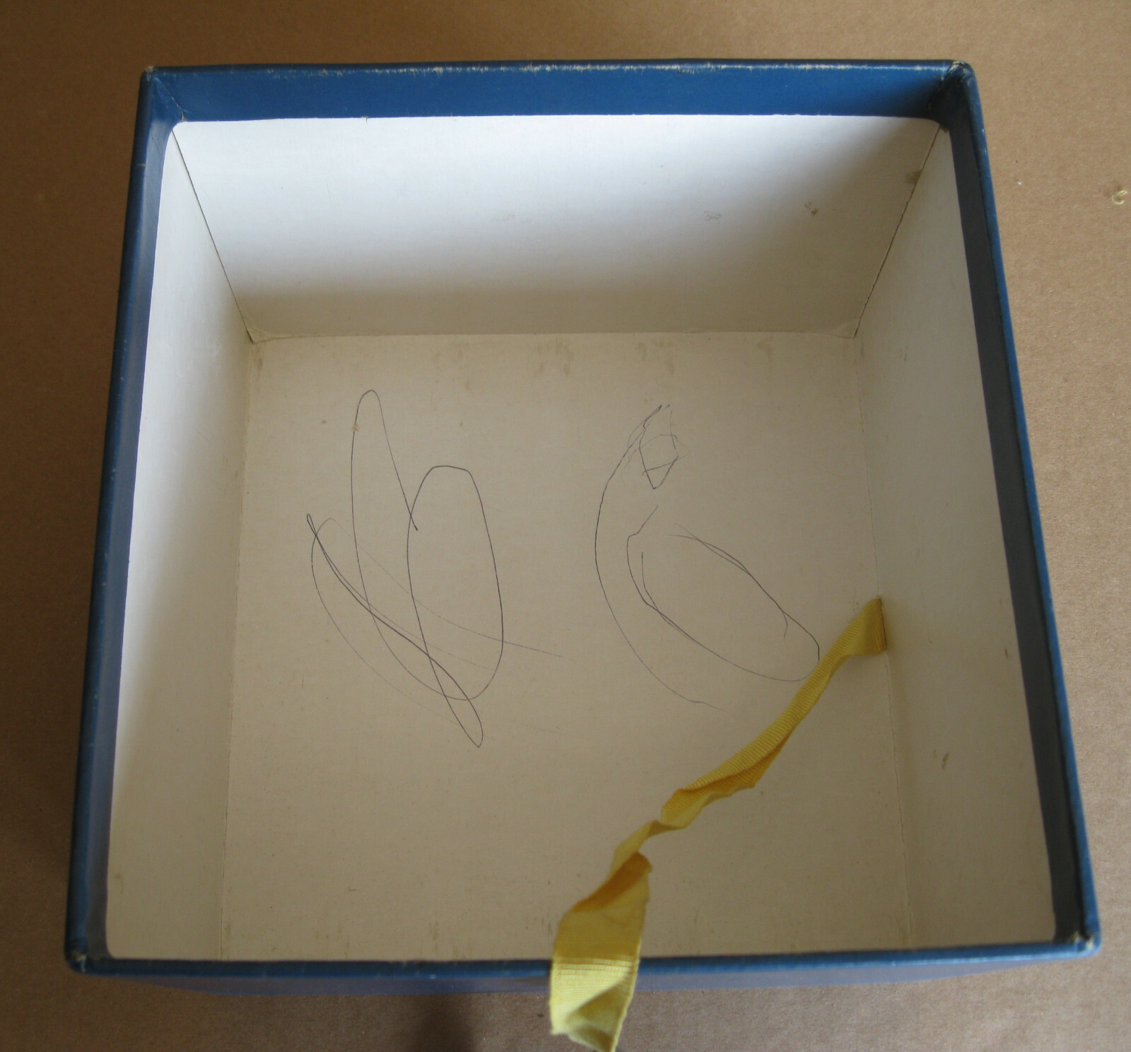 Foto 11 di 12