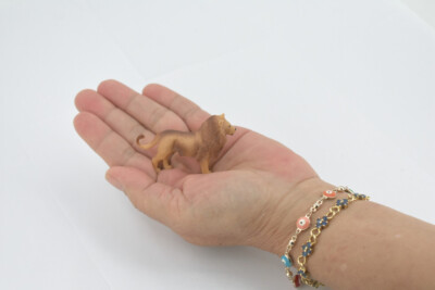 人形 Cocoriang Lion Poi 人形 Cocoriang Lion Poi Poi