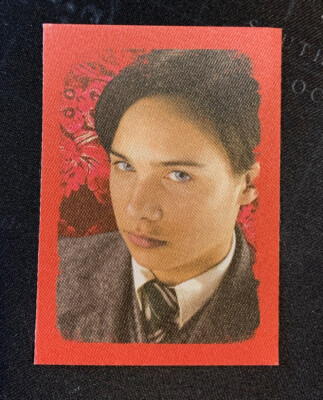 Panini Harry Potter Tom Riddle Voldemort satin sticker #161 new | eBay