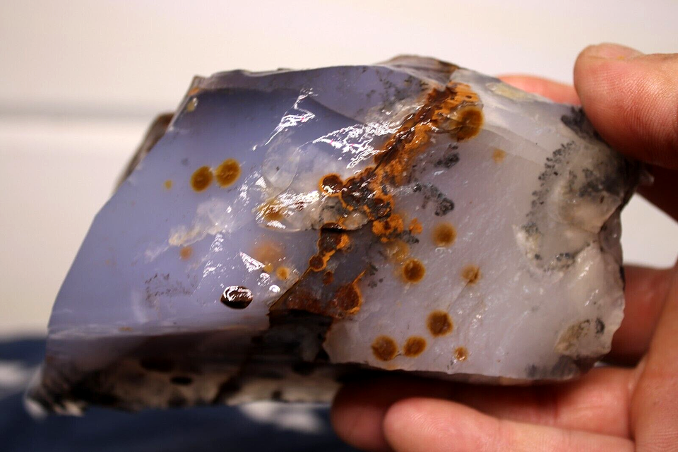 1LB 10oz Blue Ice Polka Dot Agate. Madras Oregon Lapidary Rough eBay