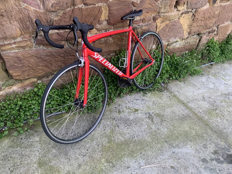 specialized bikes gumtree
