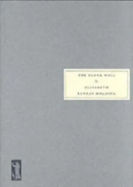 Elisabeth Sanxay Holding | Holding, E: The Blank Wall | Taschenbuch | Englisch-image