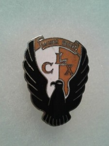 Authentic-US-Army-160th-Signal-Battalion-DI-DUI-Unit-Crest-Insignia-NH
