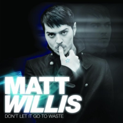 Don't Let It Go To Waste Matt Willis CD 2006 Free UK P&P Value Guaranteed