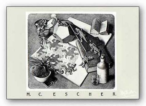 Stampa artistica Rettili MC Escher Museum 18x15 - Foto 1 di 1
