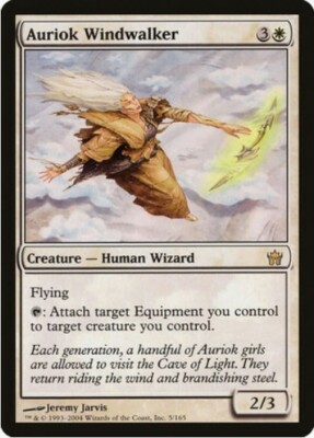 1 x Auriok Windwalker - Fifth Dawn - LP - Magic The Gathering - MTG