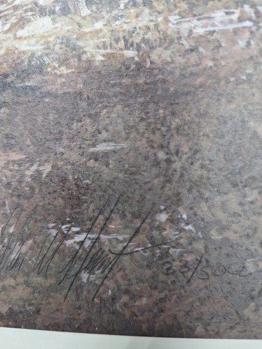 Alan Hunt, "Prince of the High Country" " Snow Leopard Cub" Signed & # 33/50CE. - Bild 8 von 18