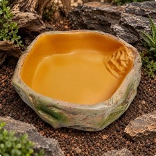 Reptile Feeding and Water Rock dishInspired Reptile Bowl Sturdy for Terrarium