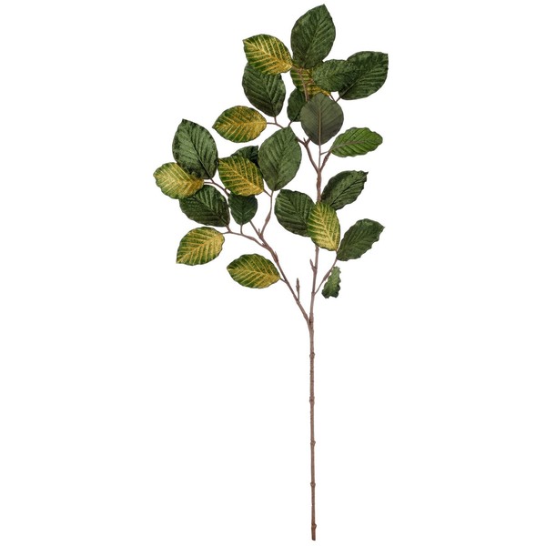 KüNstlicher Buchenzweig Noble Velv, 2Er Set, Farbe GrüN, HöHe Ca. 71 Cm-image