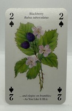 Single Swap Playing Card Shakespeares Flowers Blackberry Two Of Spades