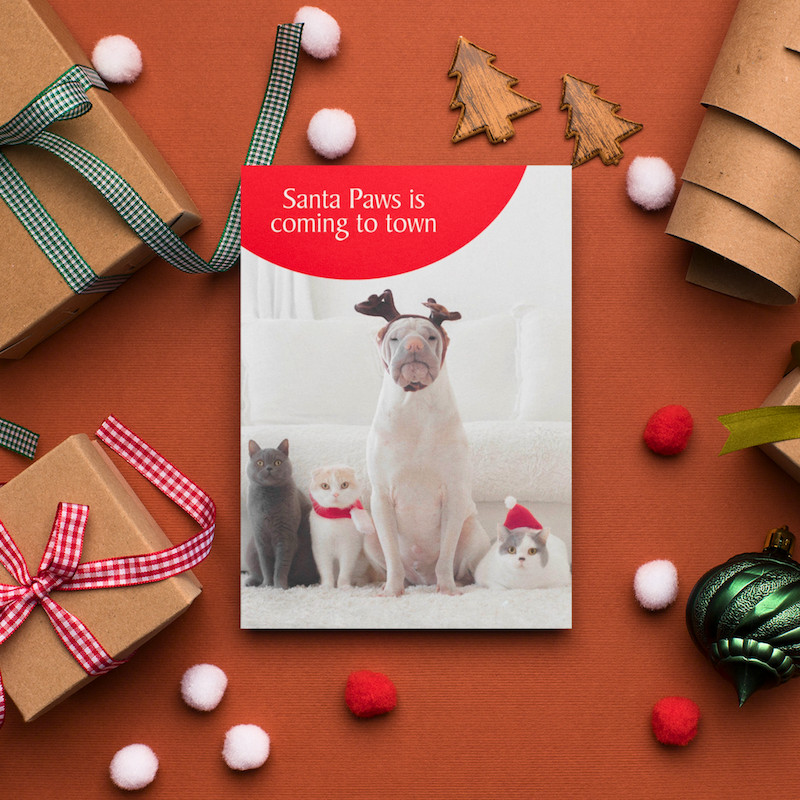Funny Cats and Dog Christmas Greeting Card Humorous  Santa Paws Dog & Cat Lovers