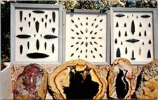 Central Point OR Arrowheads Stone Tools Crater Rock Natural History Museum JP11