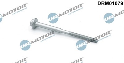 Dr.Motor Automotive DRM01079 Bolt, Fuel Injector Holder for Audi Seat Skoda