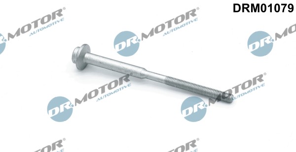 Dr.Motor Automotive DRM01079 Schraube, EinspritzdüSenhalter For Audi Seat Skoda-image