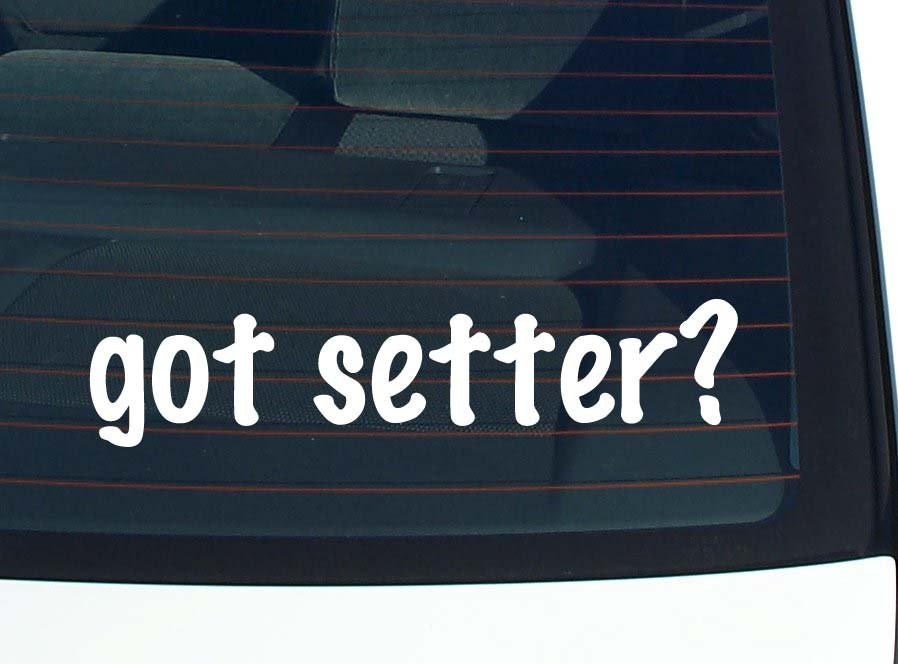 Got Setter Funny Dog Lover Car Decal Bumper Sticker Vinyl