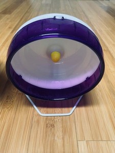 Used Kaytee Silent Spinner Exercise Wheel (7 Inch Wheel)