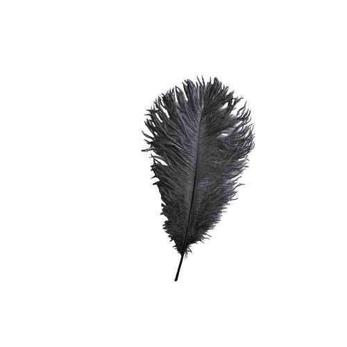 5-10pcs Large Ostrich Feathers 35cm-40cm Plume Craft Wedding Party Decorations - Picture 17 of 95