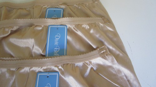 3 Dixie Belle by Velrose Scalloped leg Full cut Briefs Style 719 Nude Size 15 - Picture 2 of 3
